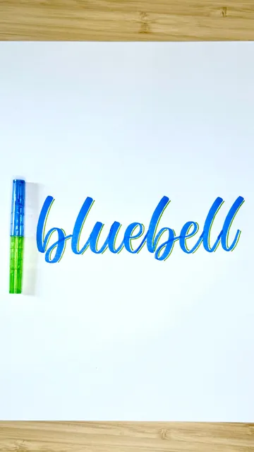 Bluebell stationery reel collaboration